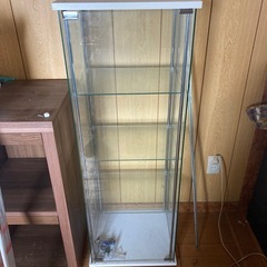 決定‼️コレクションデトルフ4段