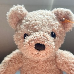 ぬいぐるみ⓪マイファーストシュタイフ　テディベア　Steiff　ベルネットの画像
