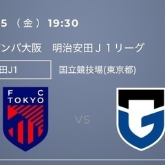 サッカー観戦