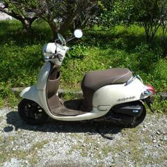 ②高知南国 ホンダ 低燃費 FI ジョルノ AF70 実働レスト...