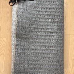 ニトリ　電気カーペット