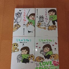 うちの３ねこ
