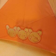 子供用折りたたみ傘の画像
