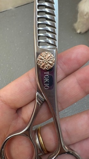 トリマーシザー