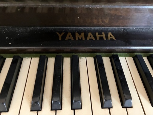 引き取り限定昭和30年代ヤマハ足踏みオルガン (うぃとーくん