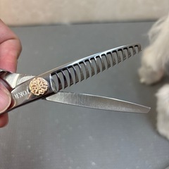 トリマーシザーの画像