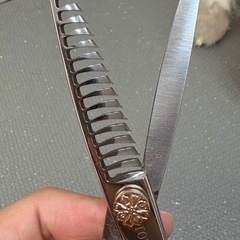トリマーシザーの画像