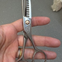 トリマーシザーの画像