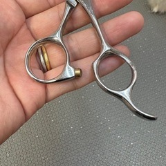 トリマーシザーの画像