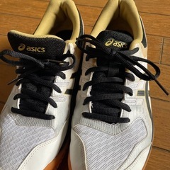 アシックス/25.5