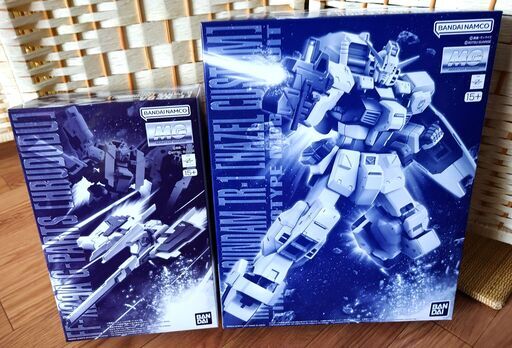 ガンダムTR-1[ヘイズル改]+Gパーツ[フルドド] | アデスの木の枝