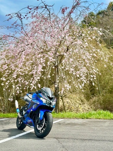 若者の大愛商品 カワサキzx4r 実働書あり引き取り限定値下げ交渉応じます se その他