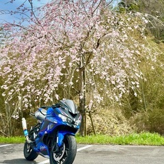 カワサキzx4r se  実働　書あり　引き取り限定　値下げ交渉...