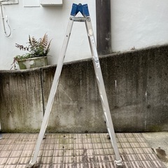 ハセガワ アルミ合金製兼用脚立　 RD-21 7尺の画像