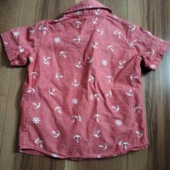 シャツ　子供　90 の画像