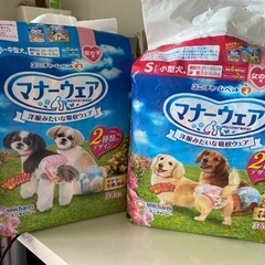 犬の紙おむつ(M)マナーウエア