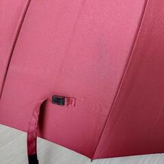濡れると桜が浮き出る🌸傘　袋付きの画像