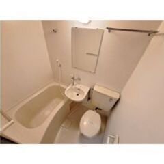 🧡💛フリーレント1ヶ月付き💛🧡角部屋✨駐車場空きあり🚗✨賃料29,000円🌟18㎡の1Kです😍💕 - 不動産