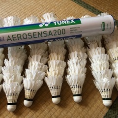 バドミントンシャトル (イリ) 中頭のスポーツの中古あげます