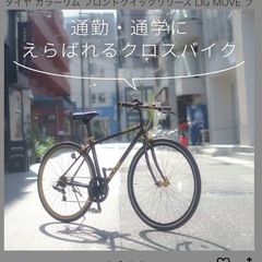 クロスバイク　LIG MOVE ネイビー×レッドの画像