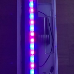 テトラ・水槽セットの画像