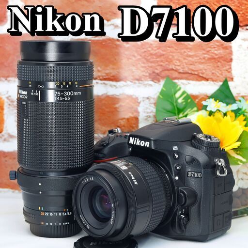 ダブルレンズハイアマチュアモデル❤️Nikon D7100 セット✨望遠＆標準