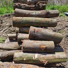 薪用丸太(3,000円)大きめのサイズの画像