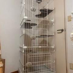 猫　4段ケージの画像