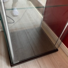 ショーケース・コレクションケースの画像