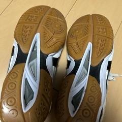 ミズノ　体育館シューズ25.5㎝の画像