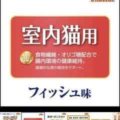 オールウェル猫 の画像