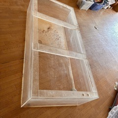 最終値下げ 今週限定 アクリル水槽