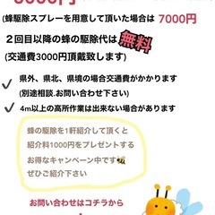 蜂の駆除ハッチー - 岡山市