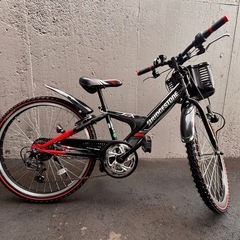 子供 自転車 ブリヂストン 24インチ エクスプレスジュニア 6段変速