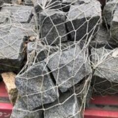 ピンコロ 1丁 薄い黒の画像