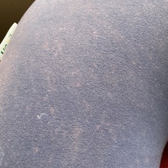 Yogibo セット、バラも可（Yogibo support,Yogibo pod）取引き調整中の画像