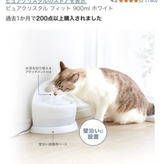 中古品＊ペット用フィルター式給水器の画像