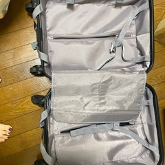 キャリーの画像