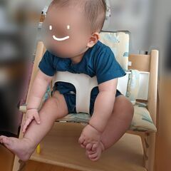 トリップトラップ　ベビーセット用クッションの画像