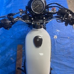  250TR BJ250F 程度良好　ピカピカ　各所メンテナンス済みの画像