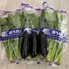 ③国産野菜セット【訳あり】