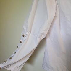 シャツ レディースの画像