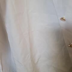 シャツ レディースの画像