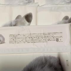 お肌に優しい鼻セレブの画像