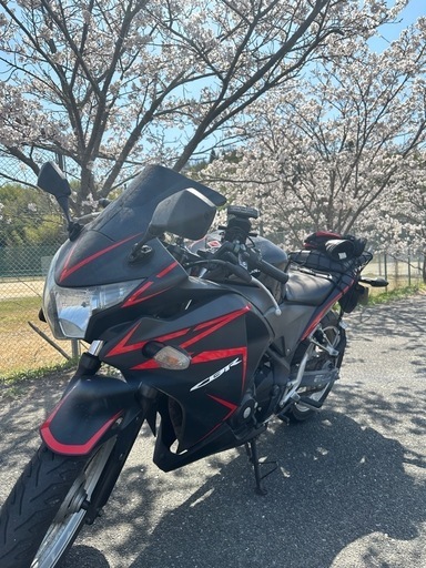 CBR250R MC41 ホンダ　バイク
