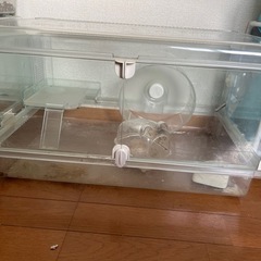 ハムスターゲージセットグラスハーモニー 600 (ちびちゃん) 名取