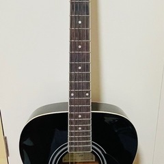 HONEY BEE アコースティックギターの画像