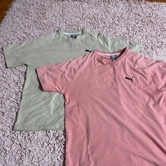 Tシャツ プーマ　PUMA 2枚セット 個別対応可能　しっかりとした素材の画像