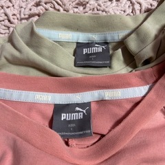 Tシャツ プーマ　PUMA 2枚セット 個別対応可能　しっかりとした素材の画像