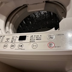 ヤマダセレクト 洗濯機 6.0kg YWM-T60H1 2023年製 (に) 白子の